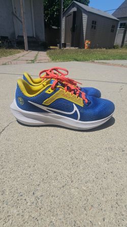 Nike Club America Pegasus 40 size 6.5