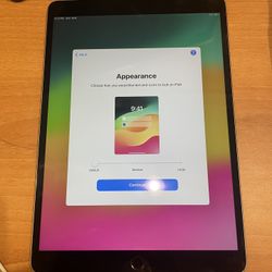 iPad Pro 256GB