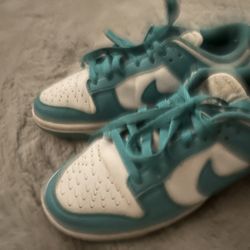 Nike Teal Shoes