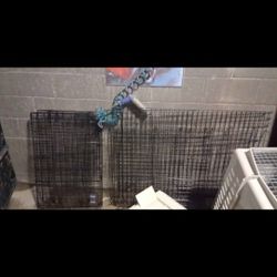 Dog Kennels Dog Crates Bird Cages Etc