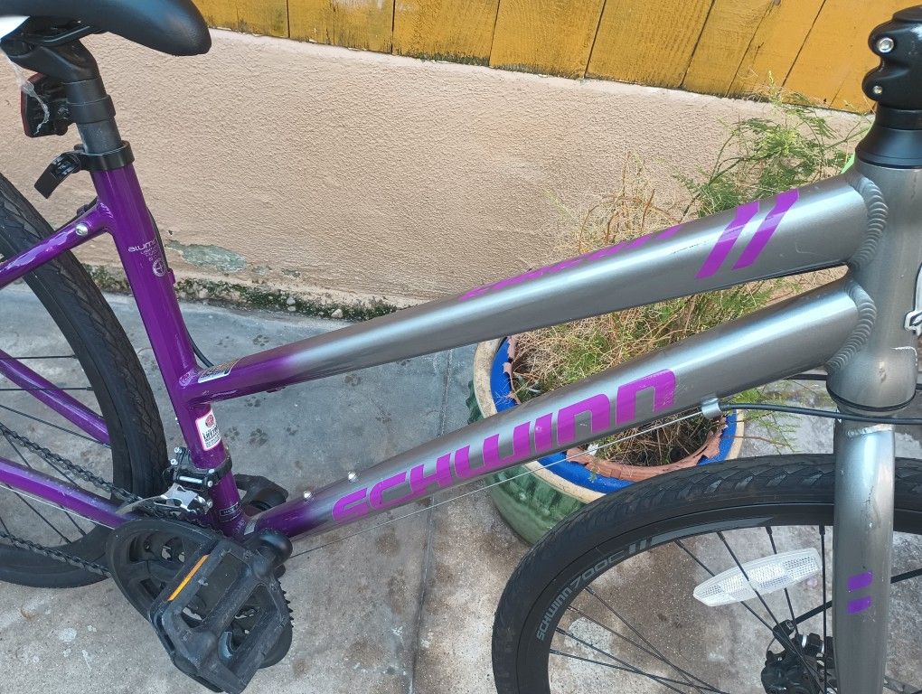 Schwinn Connect Hybrid Bike