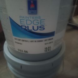 5 Gallon Sherwin-Williams Flat White Paint