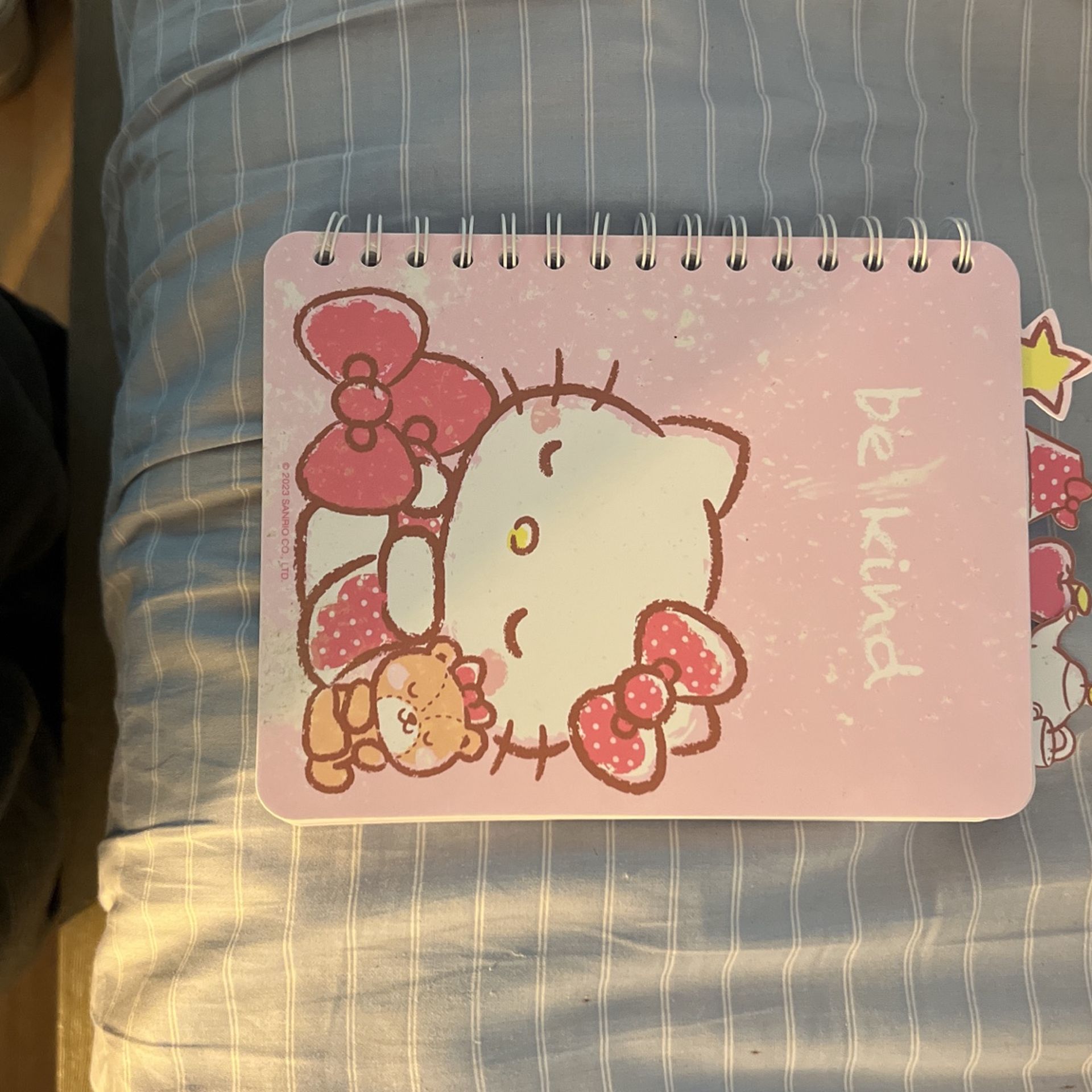 sanrio notebook