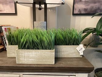 Artificial Plants