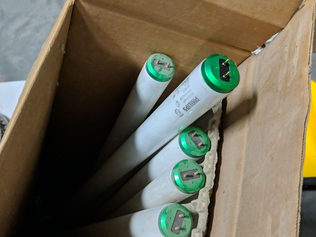 Fluorescent Bulbs