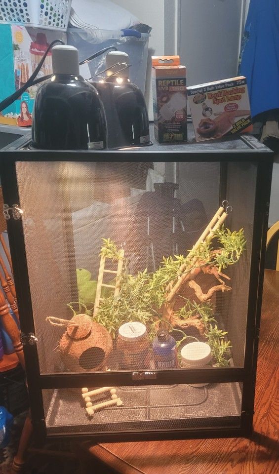 Chameleon Cage And Accessories