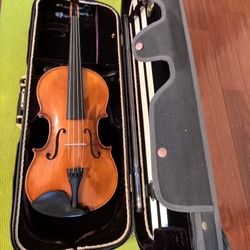 Viola- Rosalia V-9