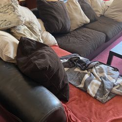 Dog Friendly Couch