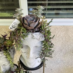 Large Succulent Planter