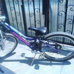 Girls Schwinn Bike