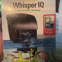 10g Filter