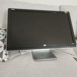 HP 25 In LCD Computer Monitor