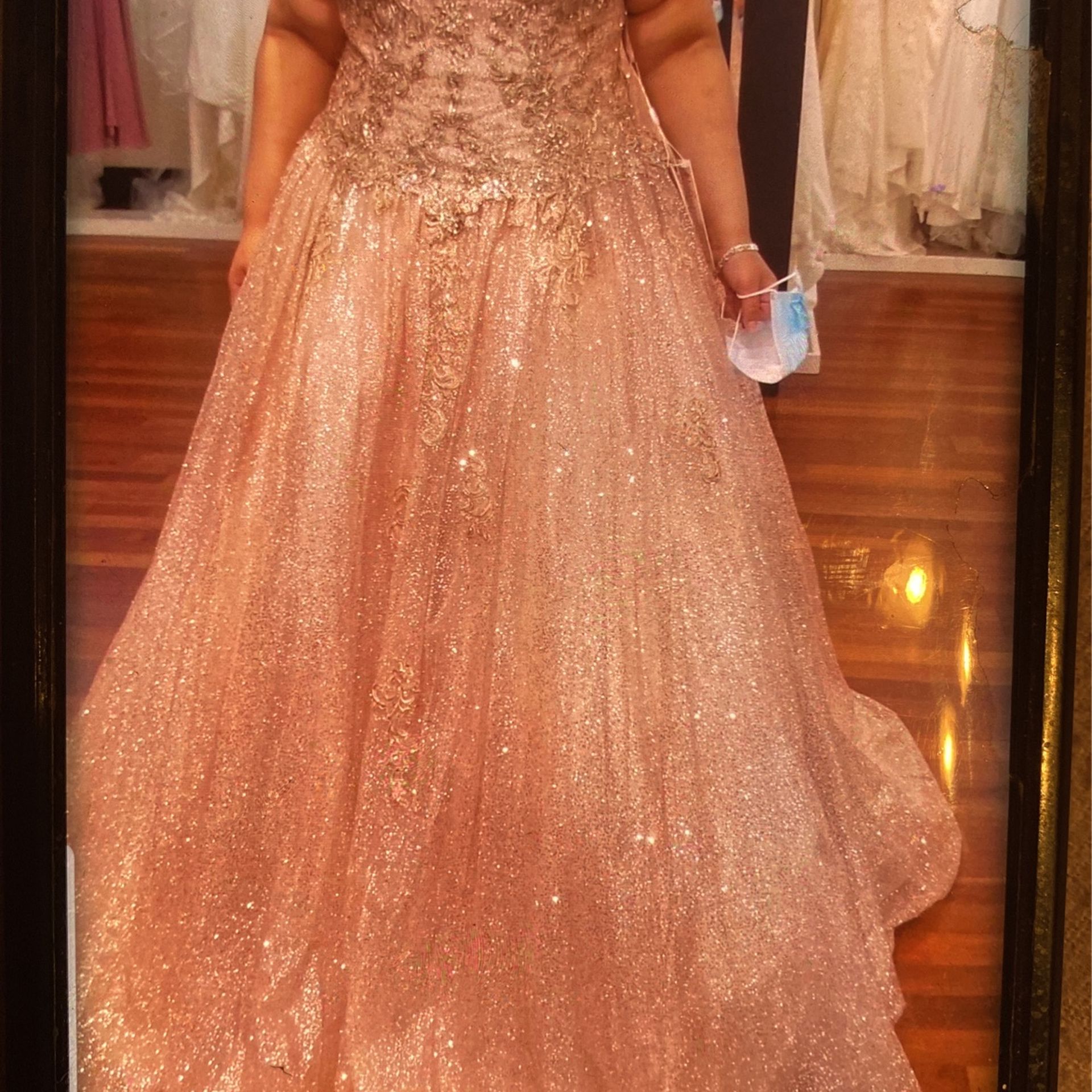 Quinceanera Dress/Prom Dress
