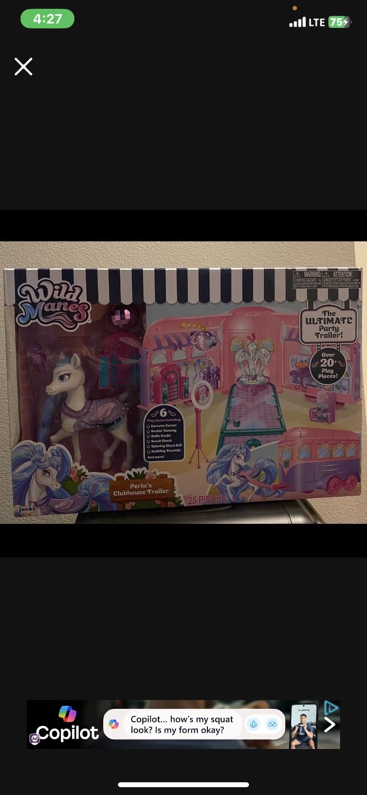 Wild Manes Clubhouse Trailer