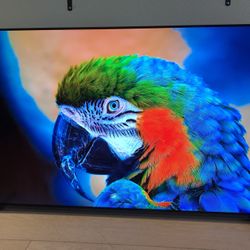 Sony Tv 55 Inch Smart Tv 4K XR55A80J OLED