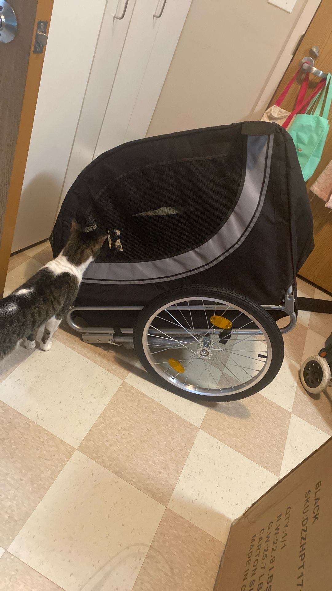 BlackDanrelax Dog Bike Trailer 55", XLarge
