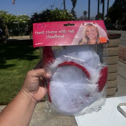 Bridesmaids/ 21 Birthday Sashes, Divorced Diva Headband 