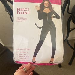 Fierce feline Cat