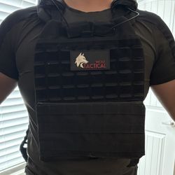 Wolf tactical plate carrier + 2 14.5 lbs training plates