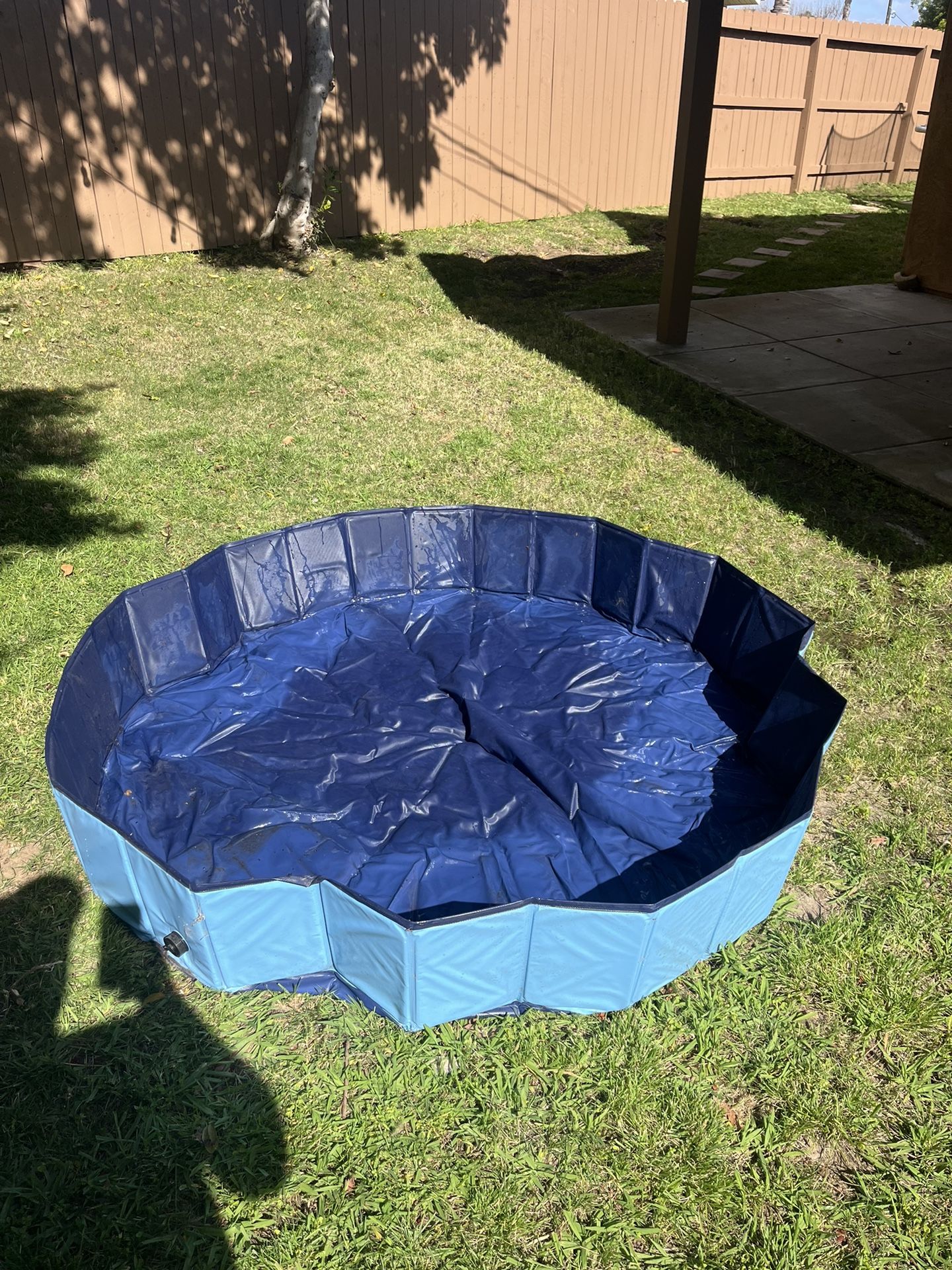 Collapsable Dog Pool