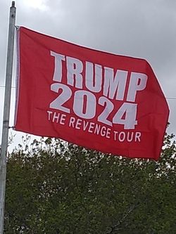 TRUMP 2024 REVENGE FLAG