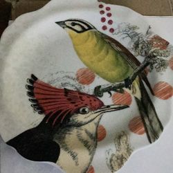 Anthropomorphic Birds Scene On Safari 10 Plates No Chips APRON Scalloped 