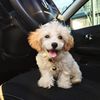 Bailey May Contreras