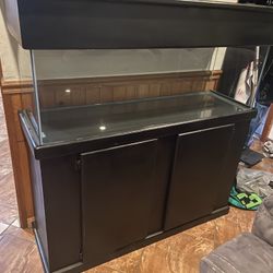 55 Gallon Fish Tank