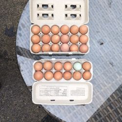 Farm Fresh Eggs 