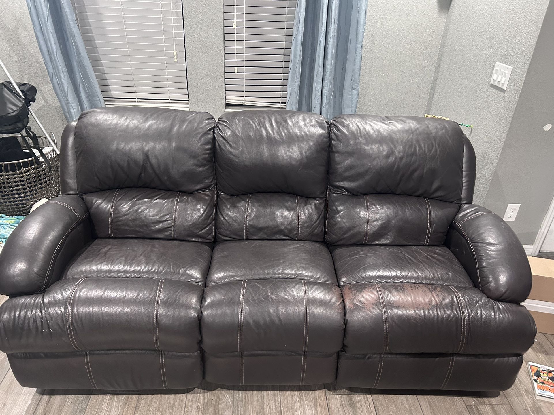 Leather Couches
