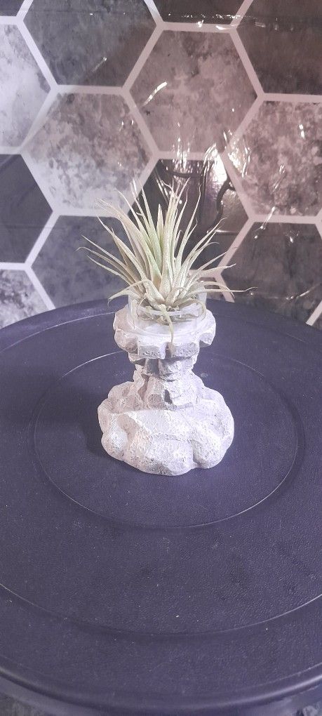 Stone Pillar Air Plant Holder
