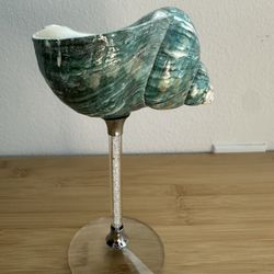Unique Natural Sea Shell Goblet – Handcrafted Decorative Cup