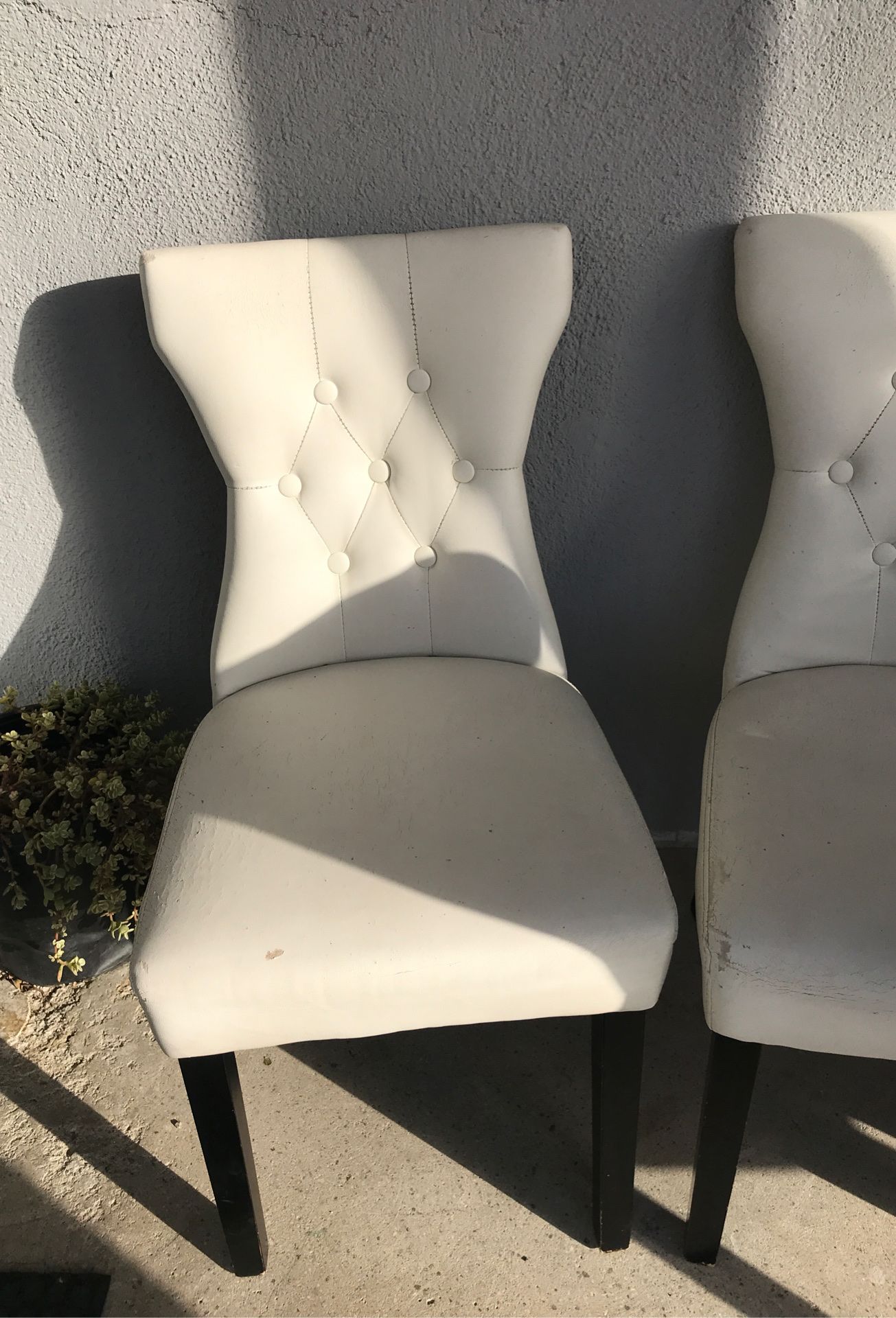 White and black chairs