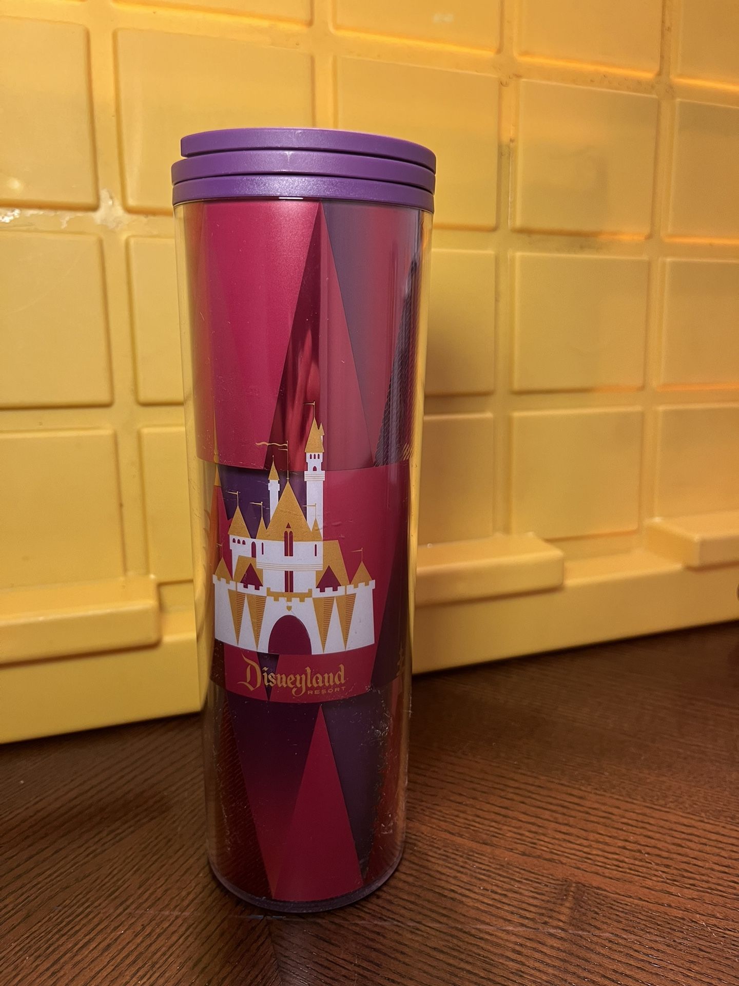 Disneyland Starbucks Tumbler Cup