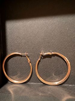 Costume jewelry goldish hoops