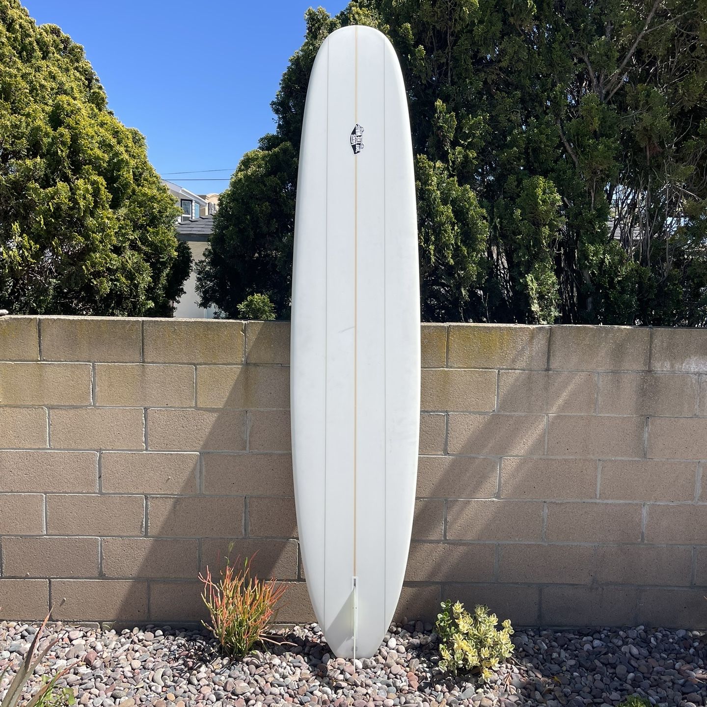 9’5 Longboard