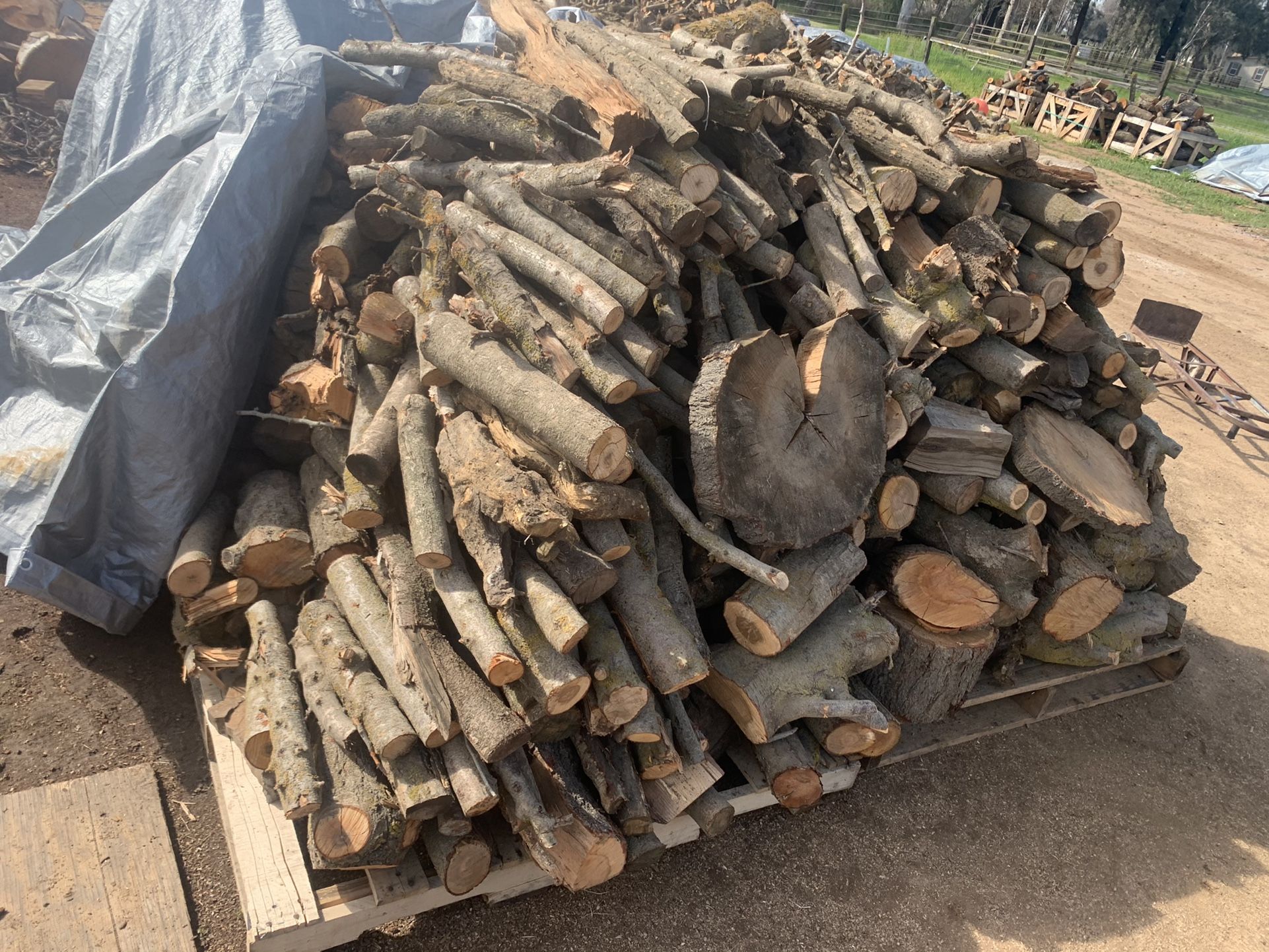 Dry Firewood!!!On The Go!!!