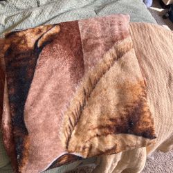 Blankets