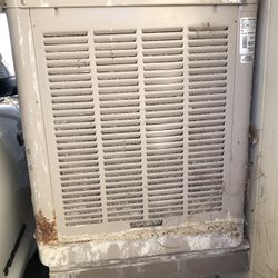 Swamp Cooler 