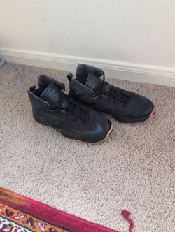 Lebron 13 GS “Black Lion” 6.5
