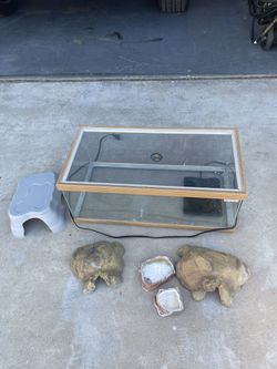 Reptile Tank