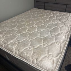 Queen Sized Bed, Box Spring And Frame