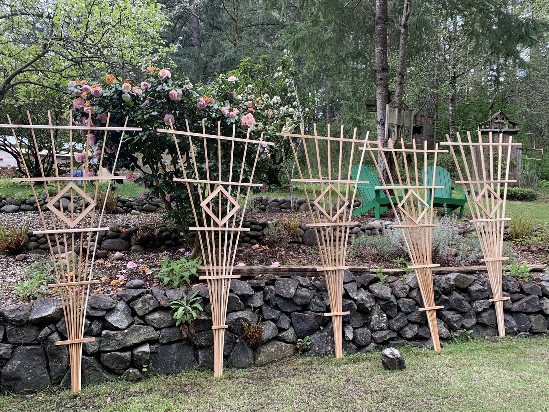 Cedar trellis