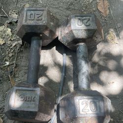 20lb Dumbbells