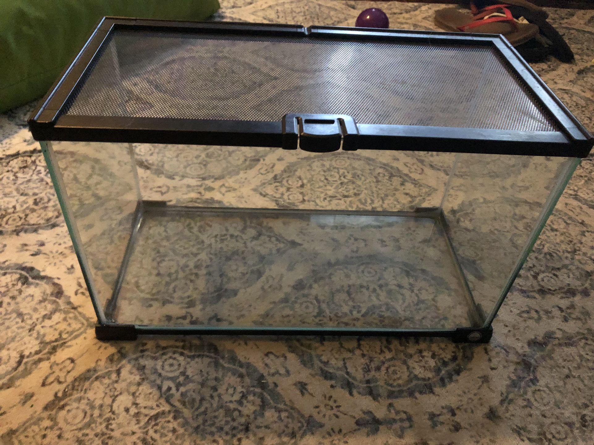 Small Terrarium