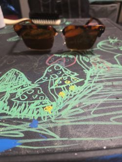 Tortoise Shell Sunglasses Brown Tinted Lenses