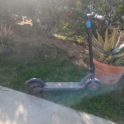 Electric Scooter. For $400. Or 300 