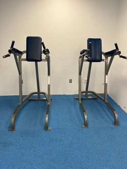 Cybex Leg Raise/ Dip  NEAR MINT