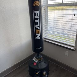 Punching Bag with Gloves