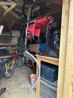 Weehoo Pull Behind Bike